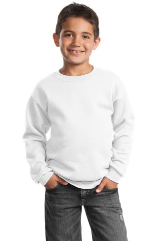 Youth Crewneck Sweatshirt